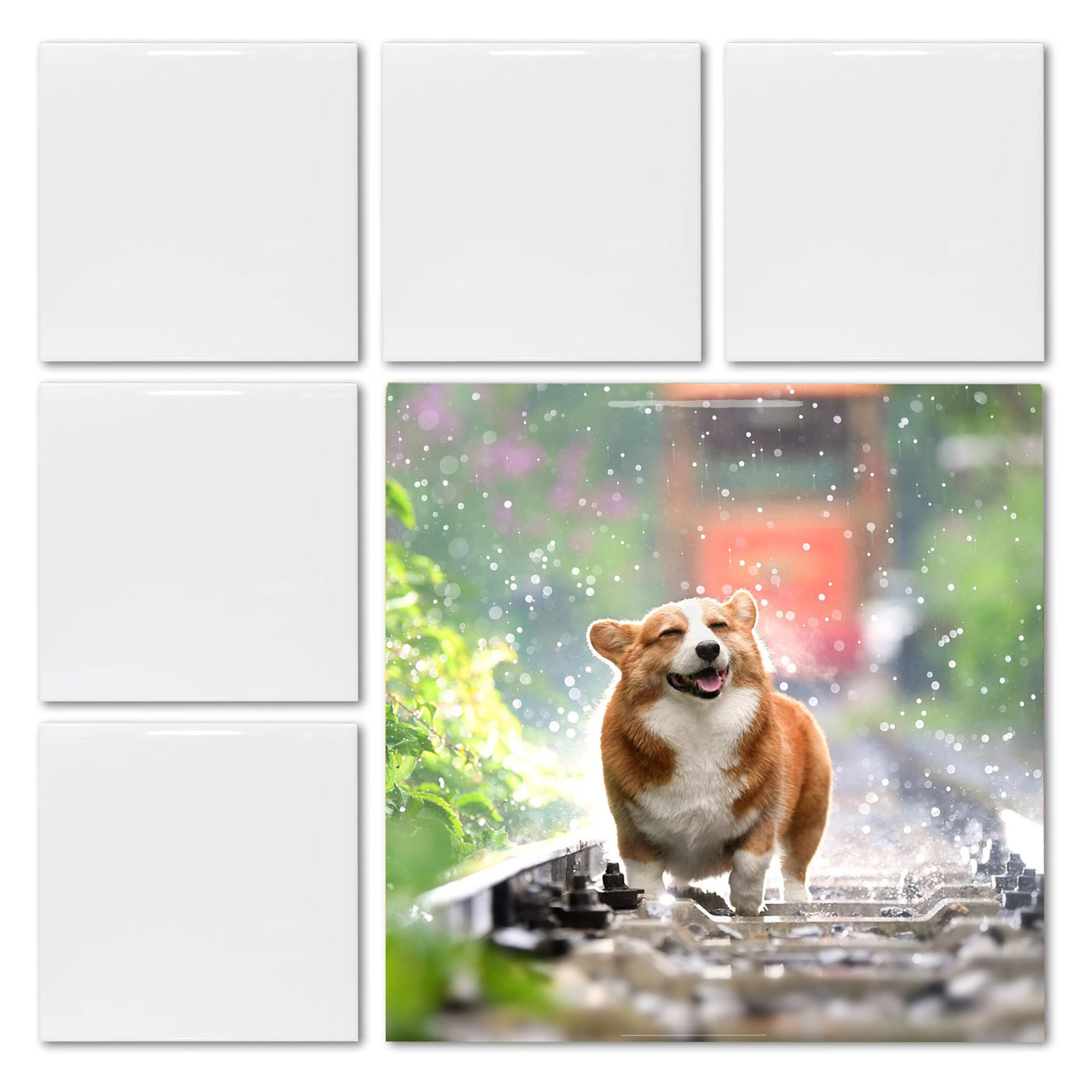 20pcs 4' X 4' Sublimation Blan - مراجعة Ceramic Tile Blank وسعره