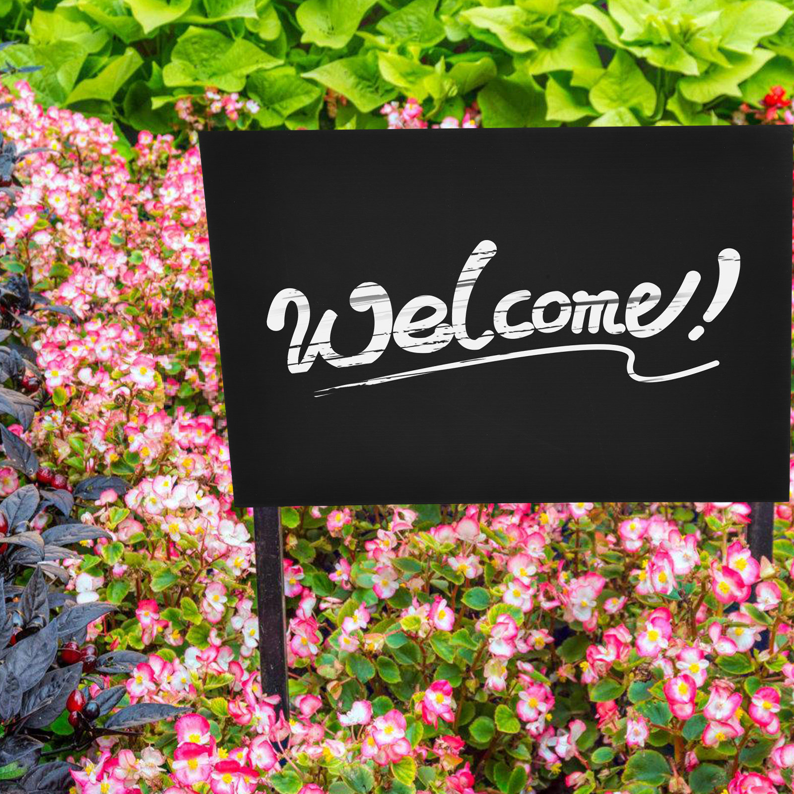 2Pcs Professional Black Blank  - مراجعة Yard Sign Blank وسعره